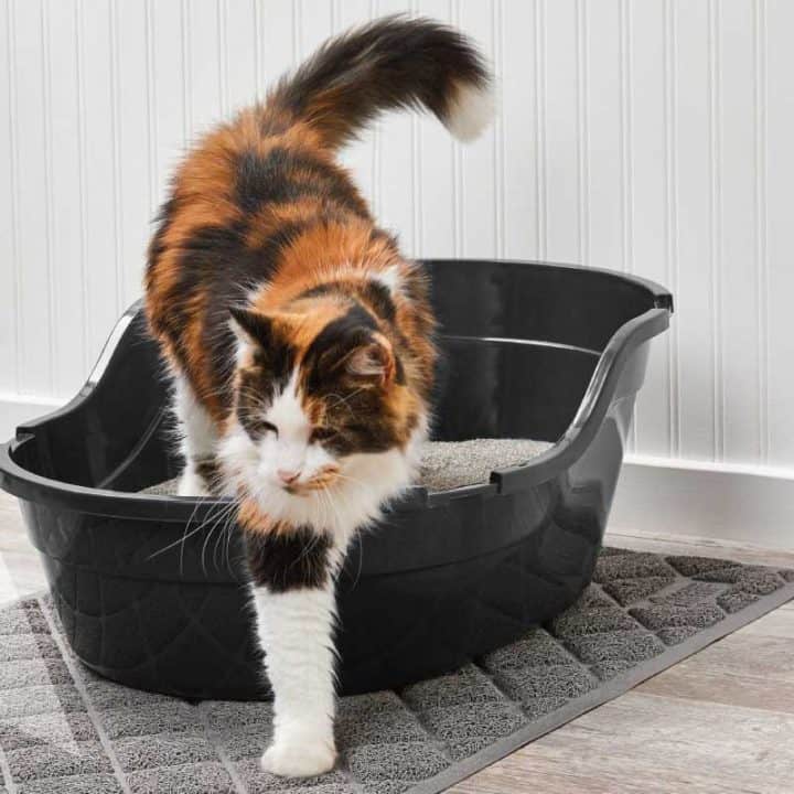 Cat-Litter-Mat