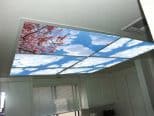 Skypanels home ceiling