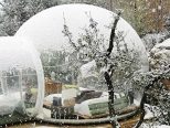 Transparent Bubble Tent