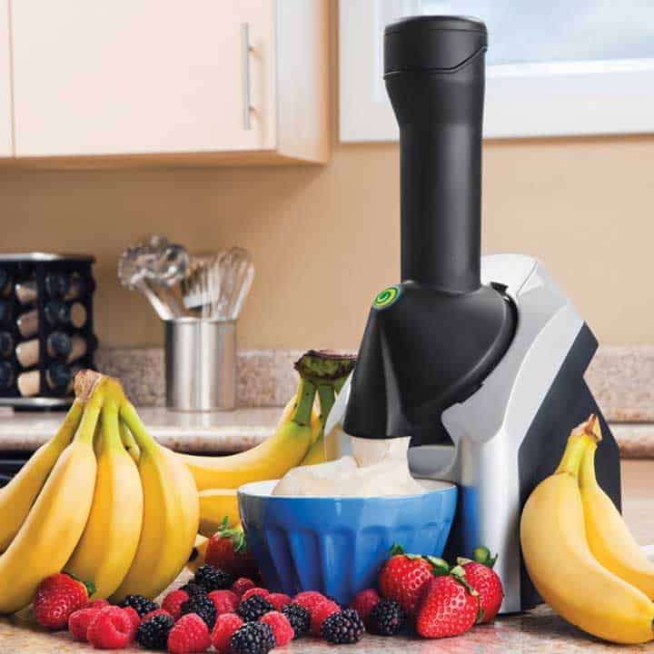 frozen-dessert-maker with fruits