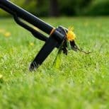 Stand-up Weed Puller being held