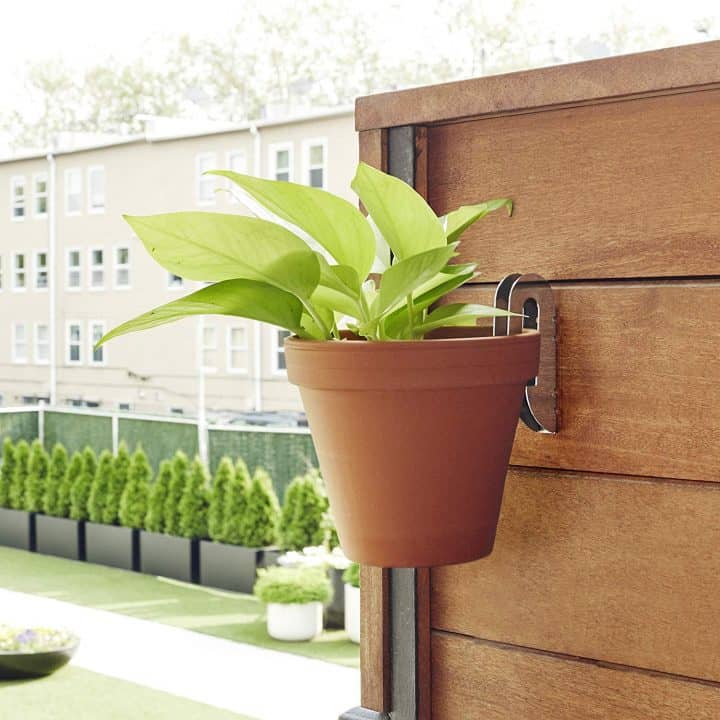 Floating Plant Hangers