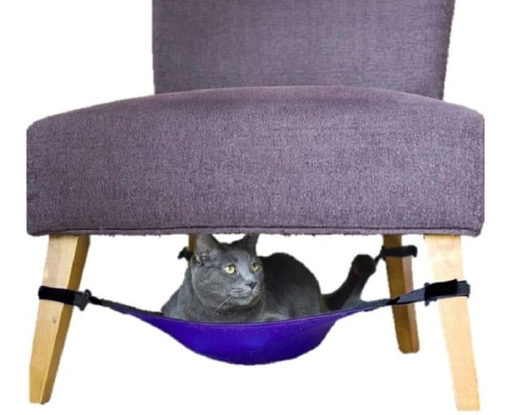 Cat Hammock