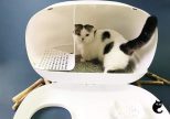 Enclosed Cat Litter Box