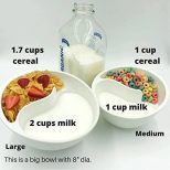 Partitioned Cereal Bowl