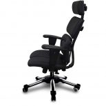 HARAChair - Spinal Support Chair