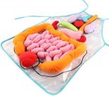 Body Organ Apron Educational Toy2.jpg