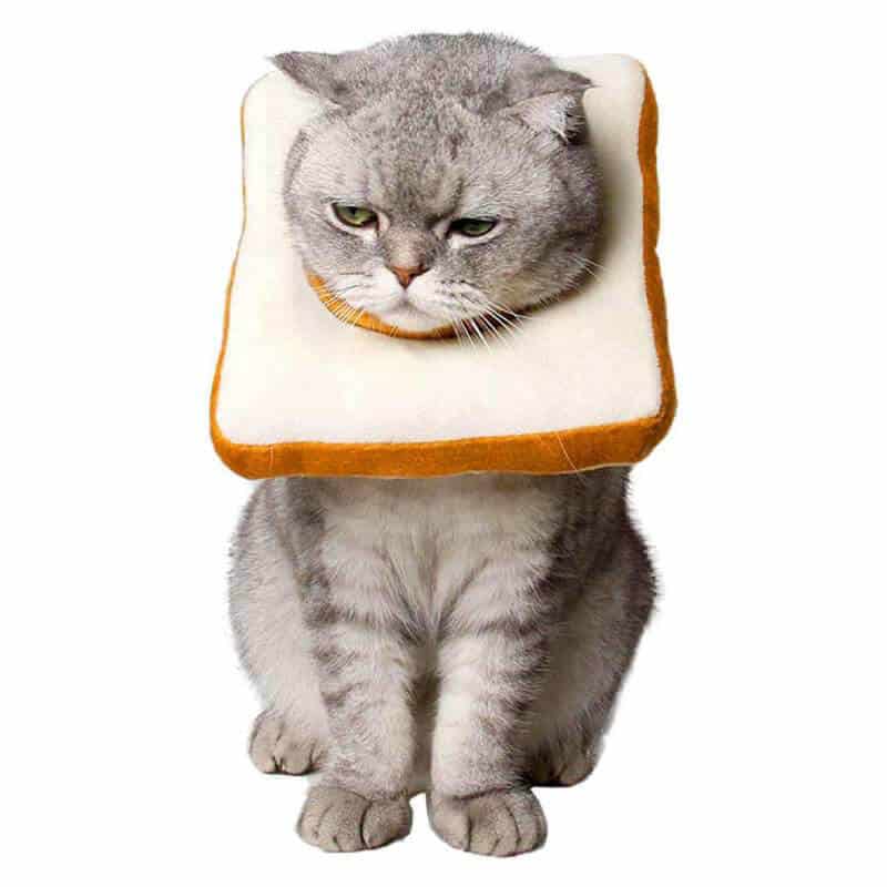 Slice Of Bread Cat Collar