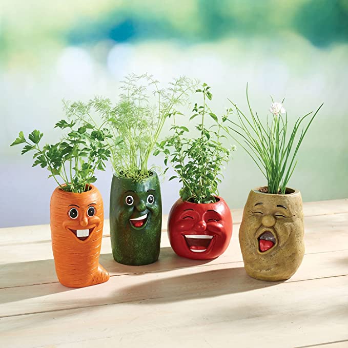 Laughing Veggie Herb Pots 1